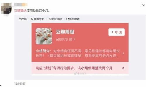 漳州八卦爆料事件最新,揭秘背后真相与网络舆论风暴
